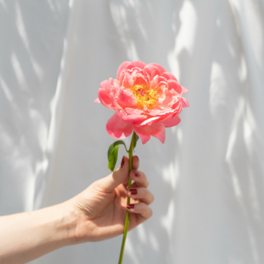 The Revive Peel at June Rose Skin Studio in Conshohocken, PA