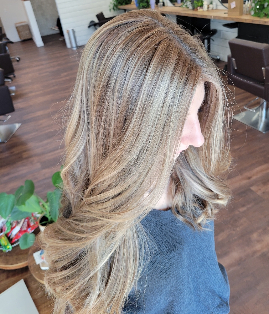 Shampoo & Blowdry