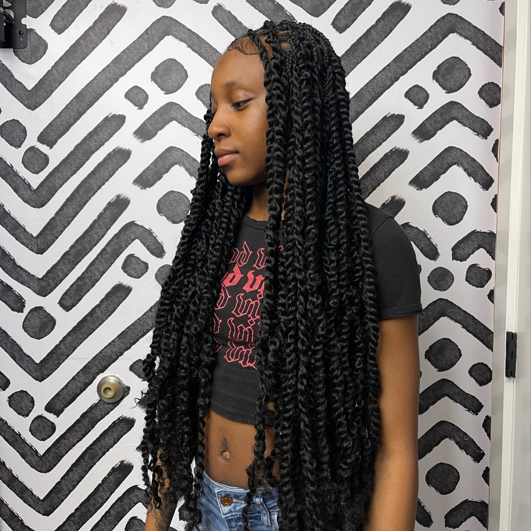 Passion Twists at Ashtrologic Hair in Frederick, MD