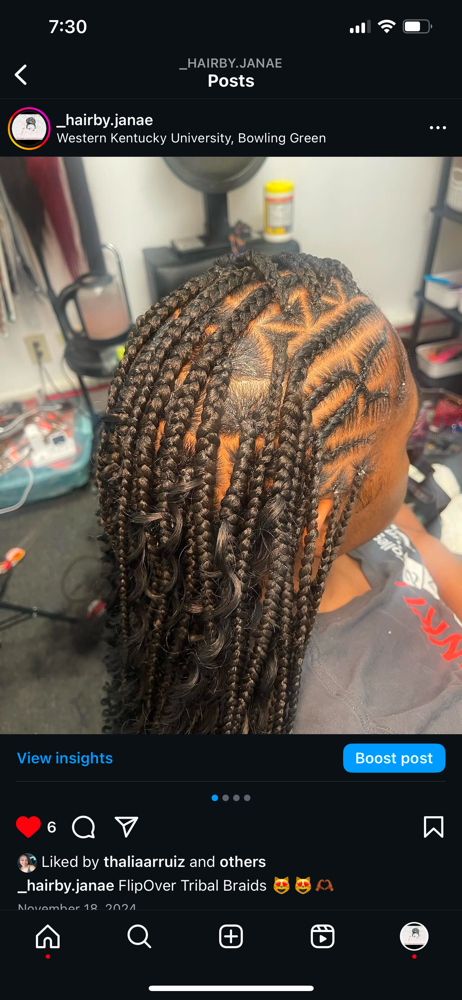 Flip Over Braids