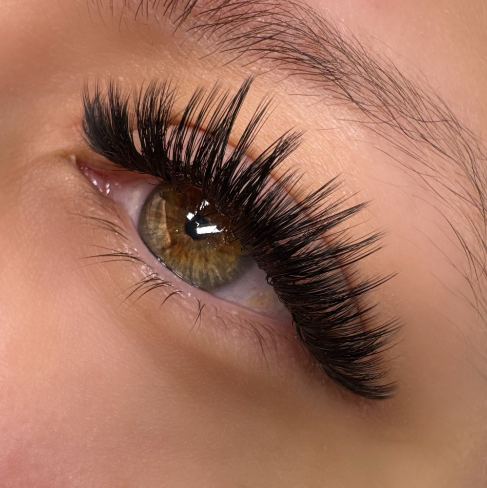 Lash Extension Fill