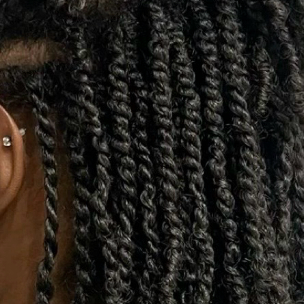 Small/Mini Twist at Tarionna beauty in Greenville, SC