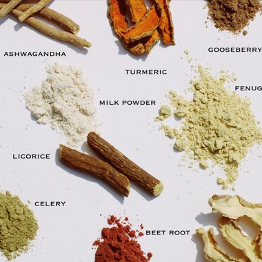 Anti-Aging Herbal Facial at Kerala Ayurveda Panchakarma Center LLC in brandon, FL