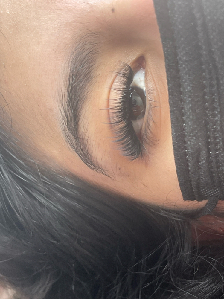 Wispy Full Set