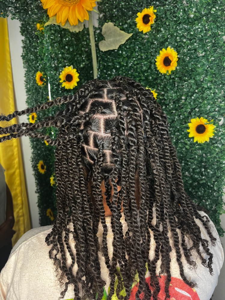 Kinky Twist