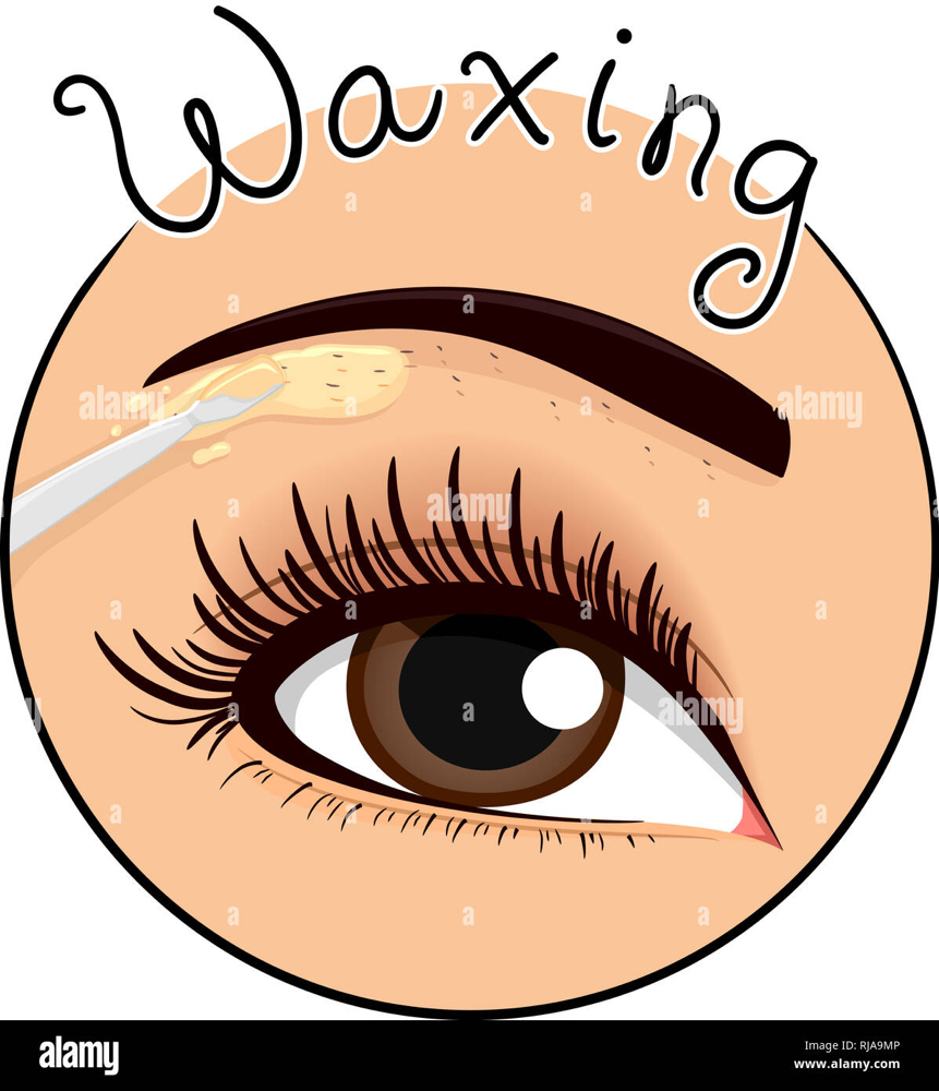 Eyebrow Wax & Shape
