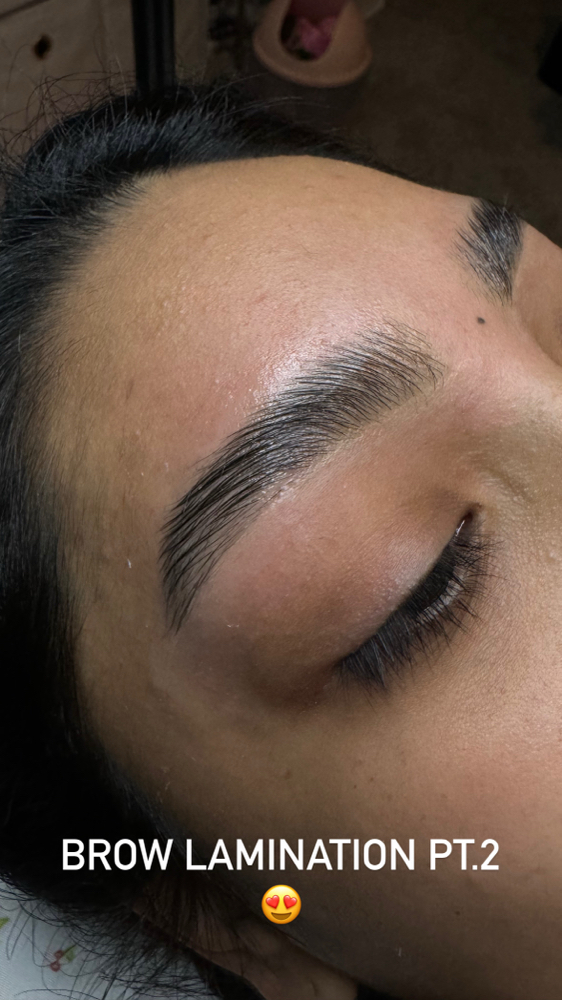 Eyebrow Lamination