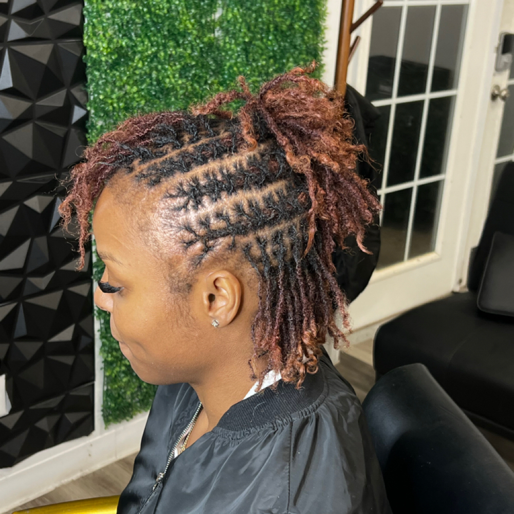 Natural Microloc Twist Lg at Byrd’s Braids in Crestwood, IL