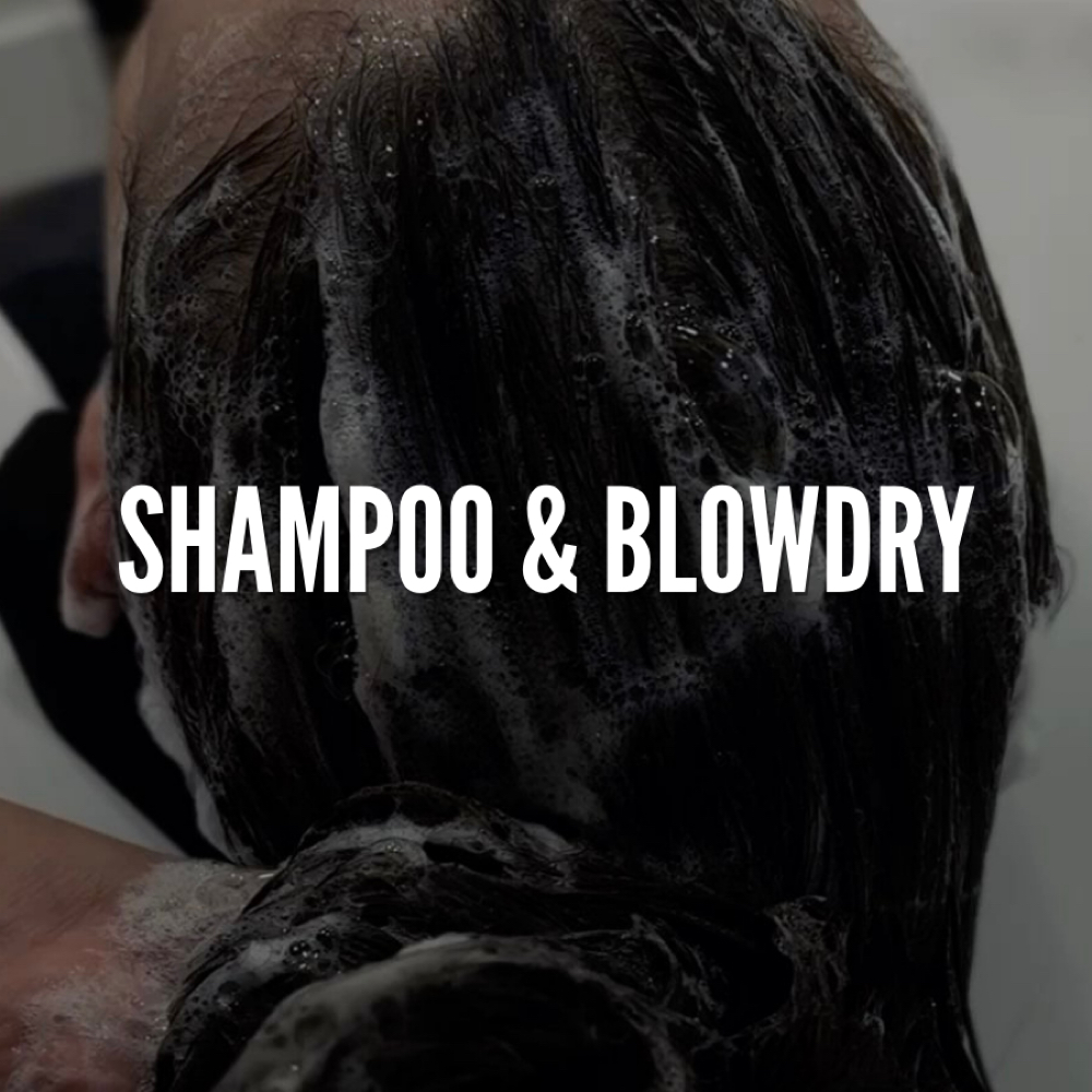 Shampoo & Blowdry