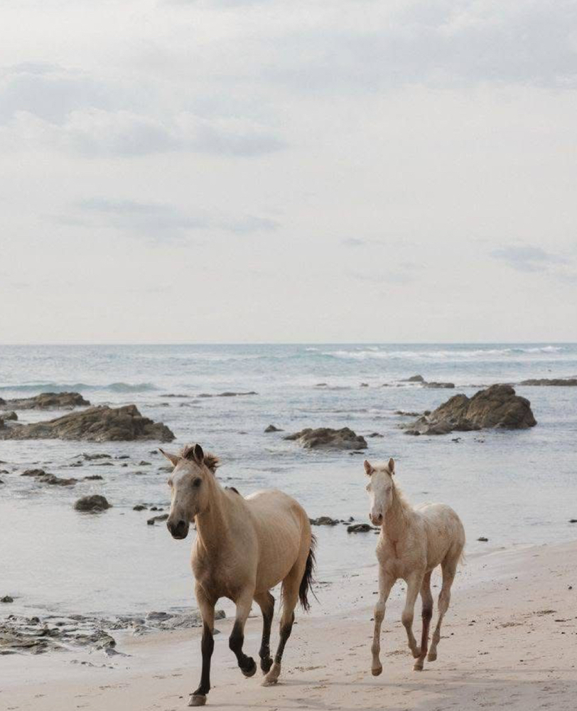Mini Foil at The Salty Saddle Salon in Vista, CA
