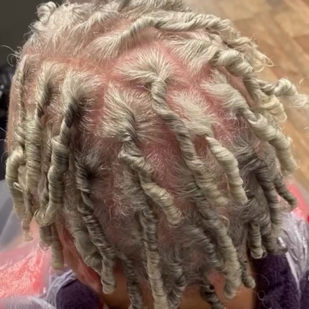 Comb Coils at The Oasis Natural Hair Salon in Gibsonville, NC