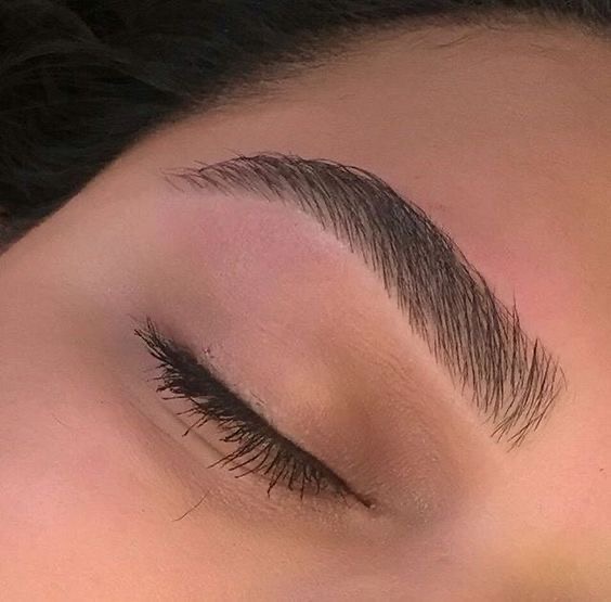 Wax Eyebrow
