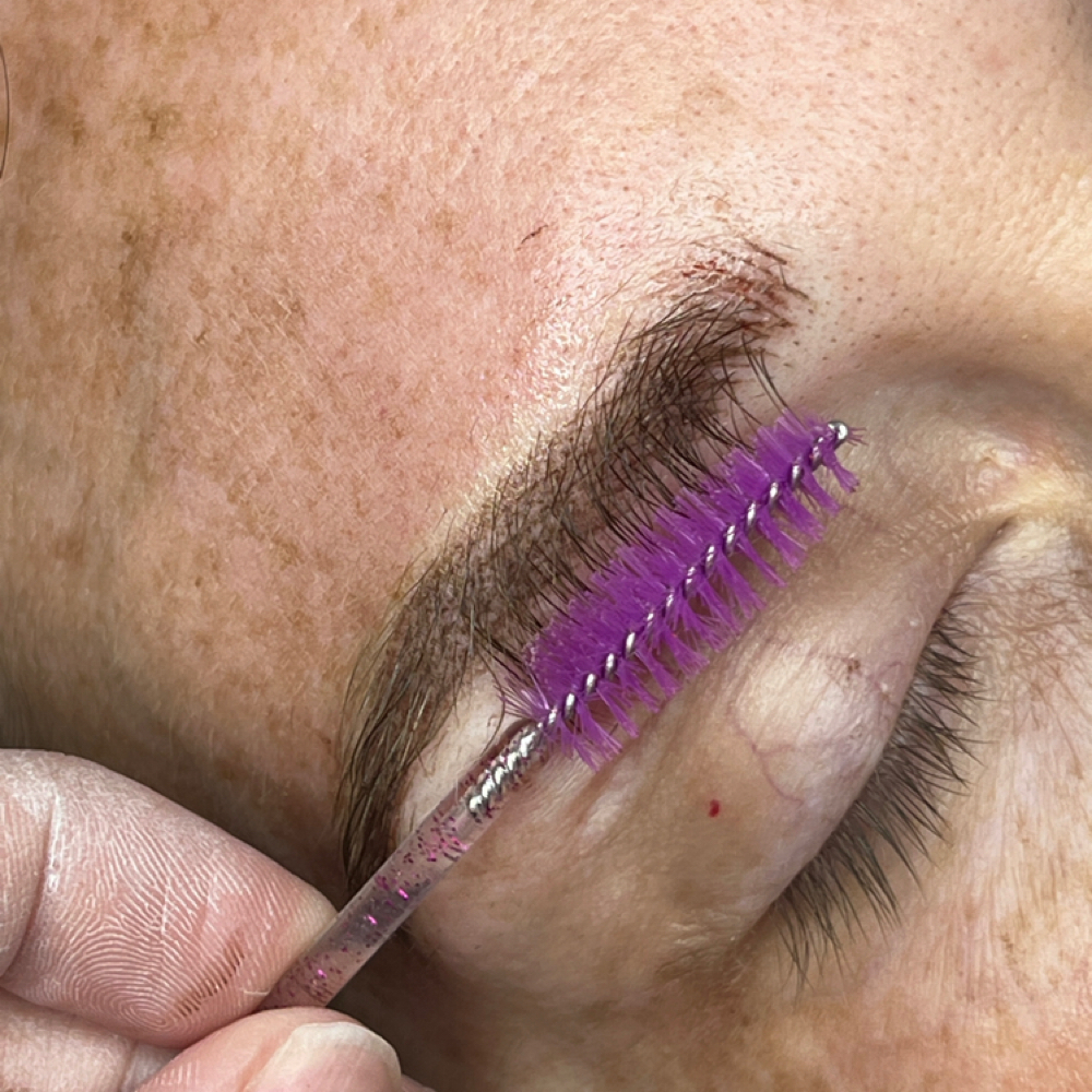 Combo Brows at EnvyMeBeauty in Brazil, IN