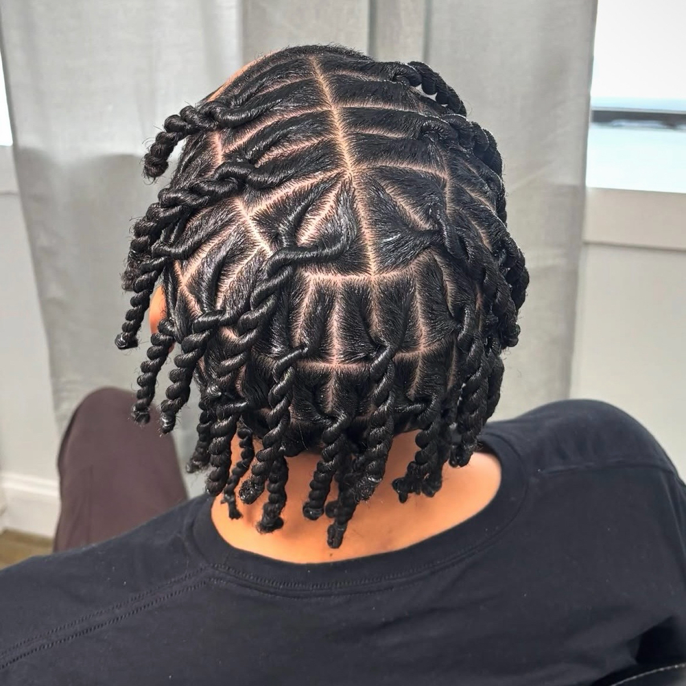Two Strand Twists