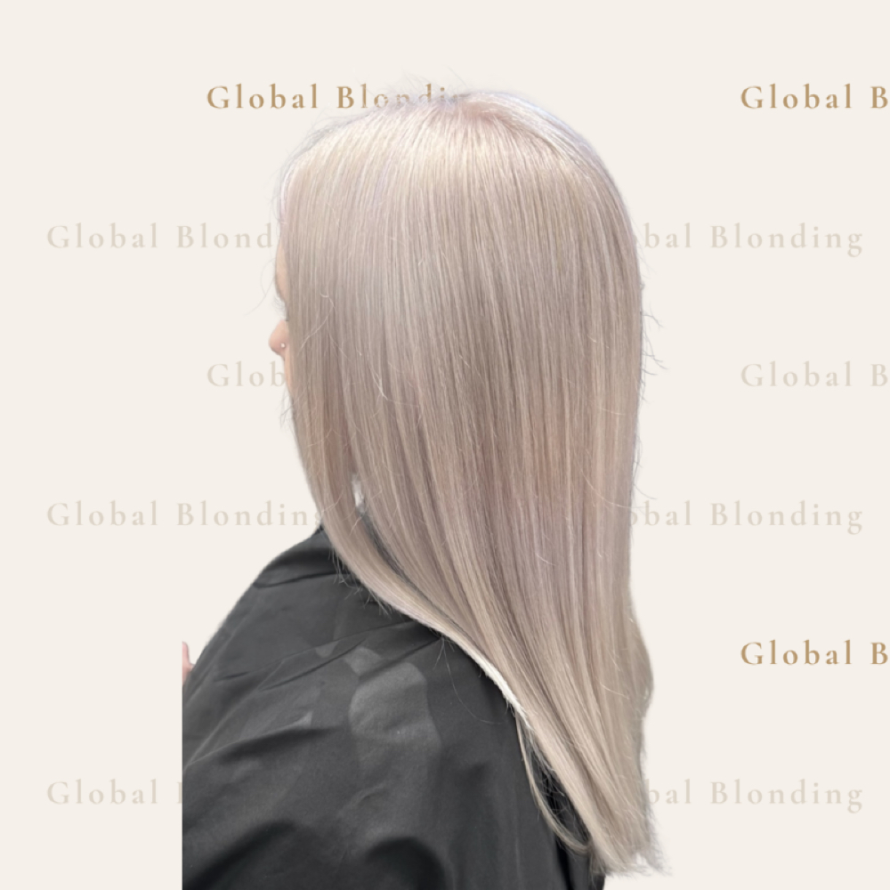 Full/Global Blonding | Platinum Car at The Mane Chair By Jenna Rae in Gainesville, FL