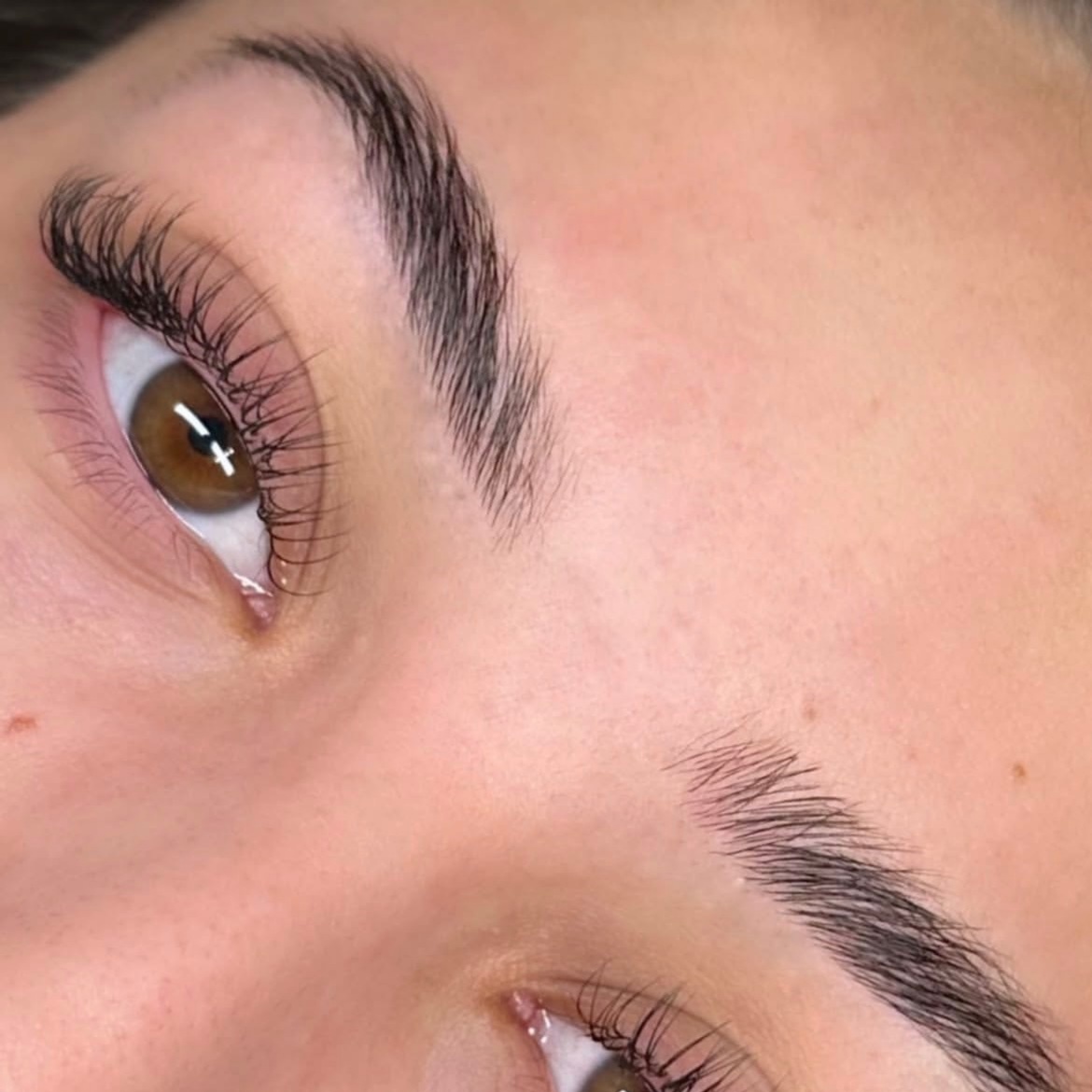Waxing (All Areas) at JL Luxe Co in North Versailles, PA