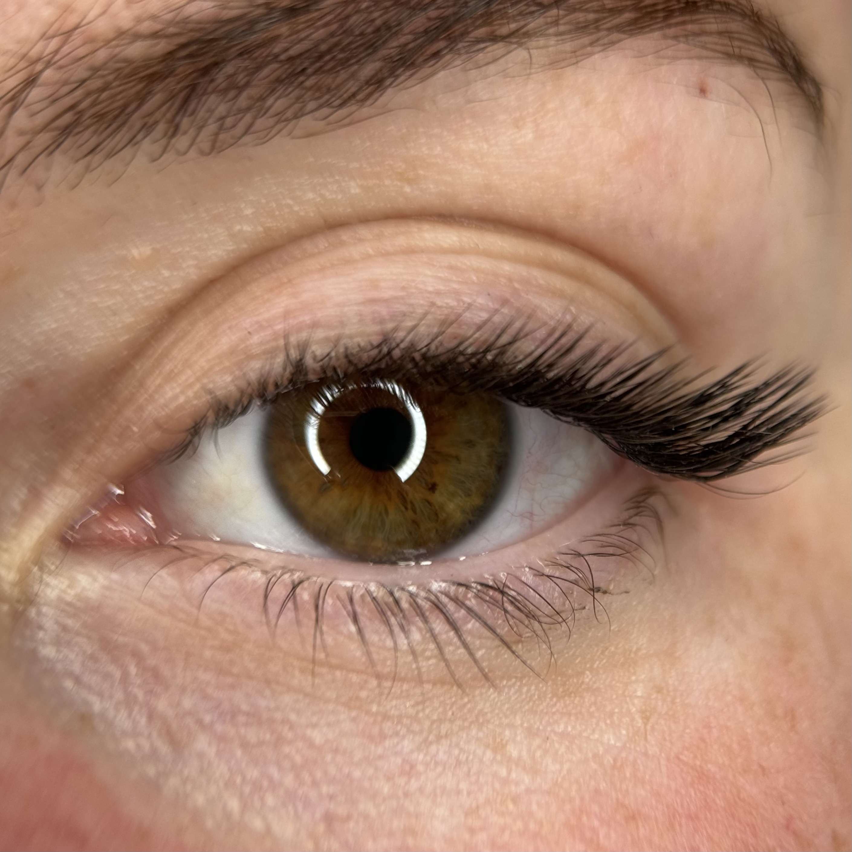 Lash corners ONLY