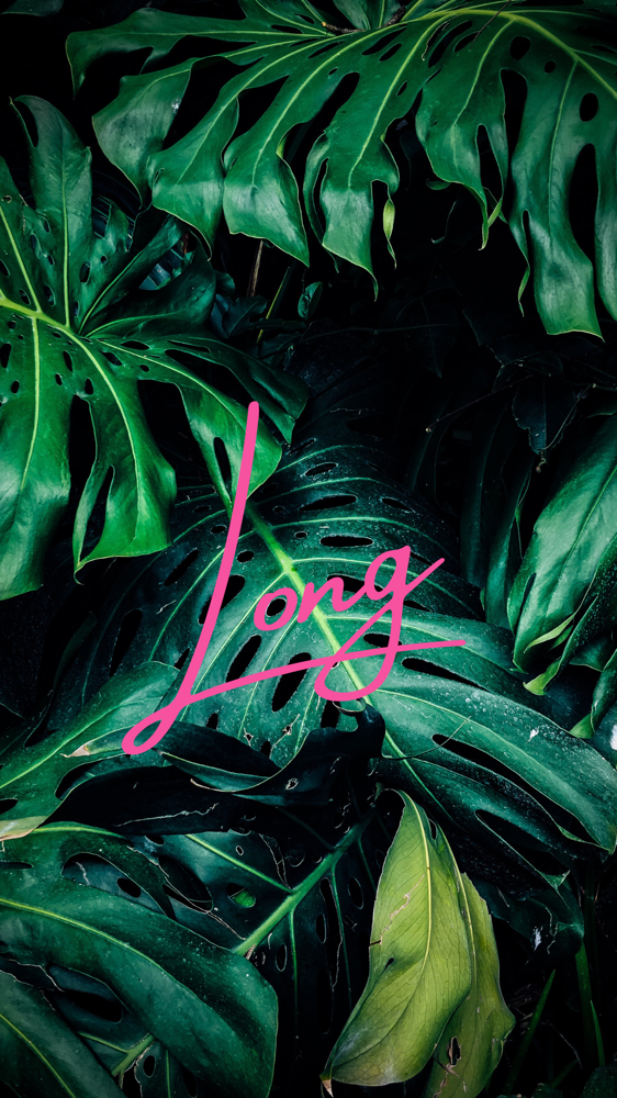 L | Long Sets