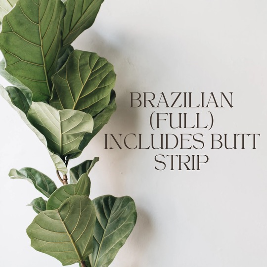 Full Brazilian Wax (V)