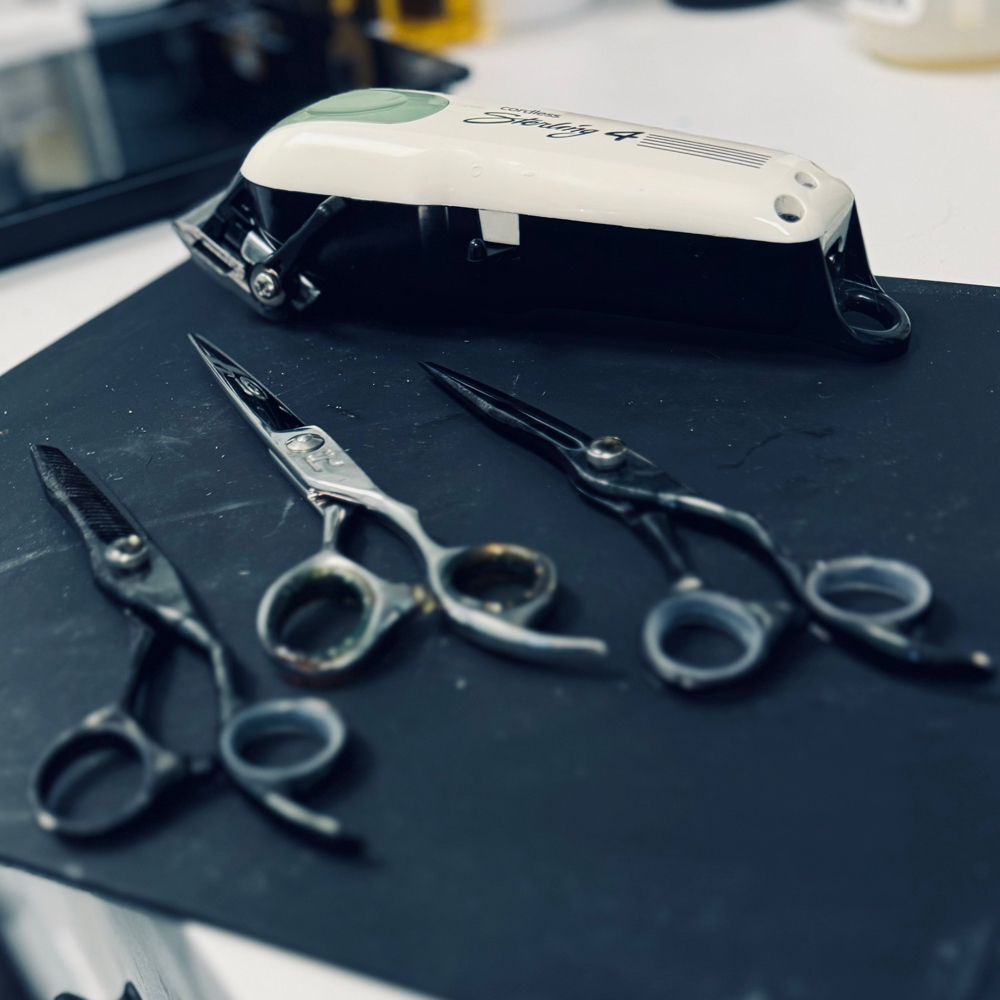 Haircut at Bifrost Beauty in Vancouver, WA