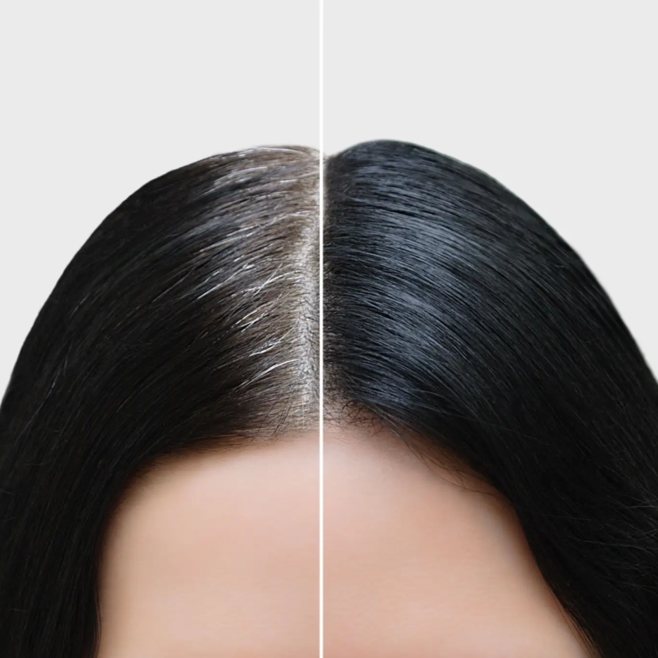 root color at LS & CO. Studio in kingsport, TN