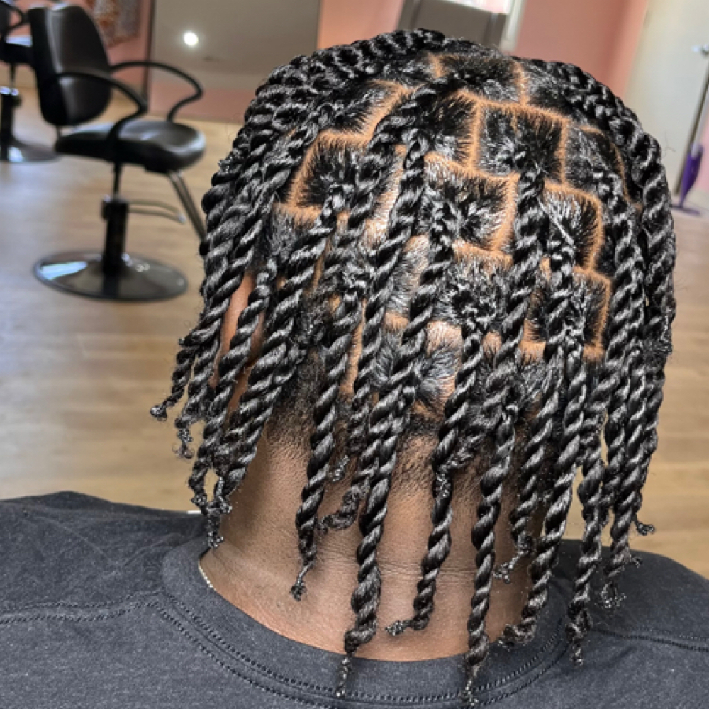 Two Strands (Double Strands) at Cozy Braids in SOUTHAVEN, MS
