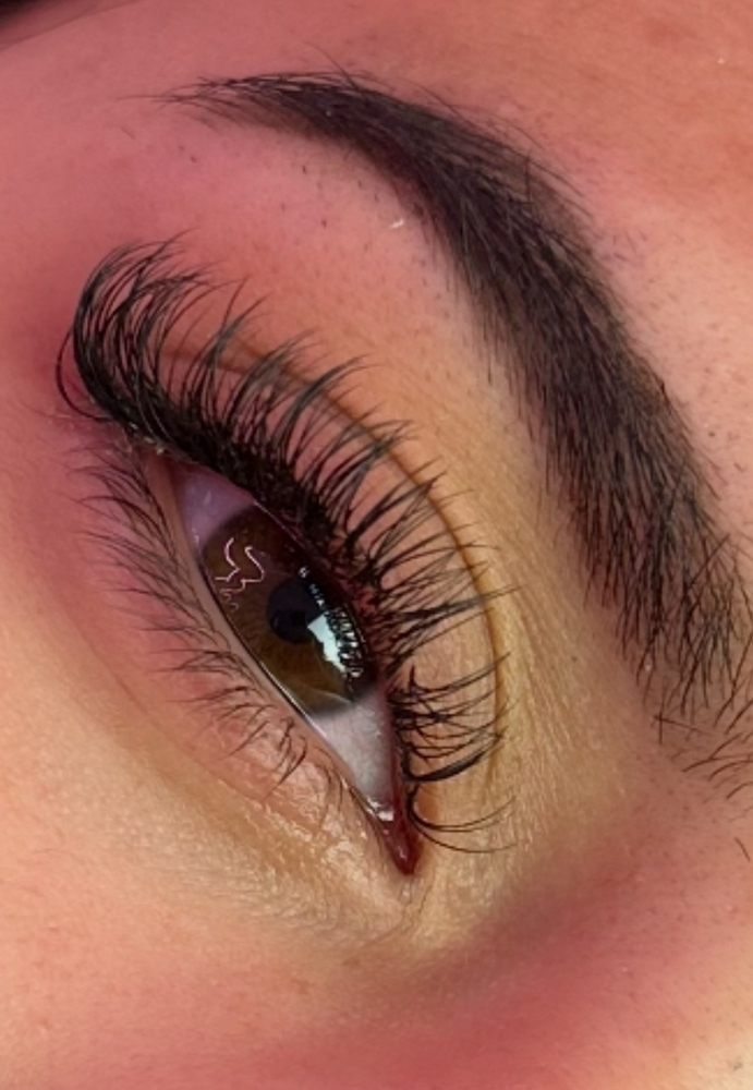 Classic Lash Extension