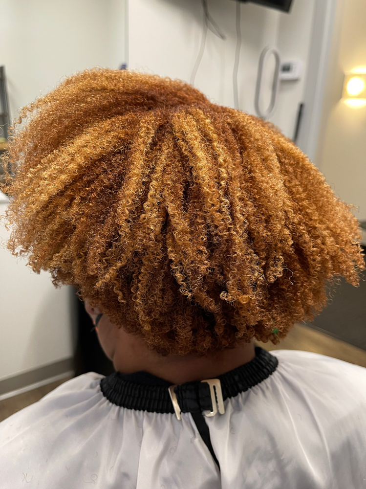 All Over Color with Highlights at Texture + Blow Hair Studio in Oak Lawn, IL