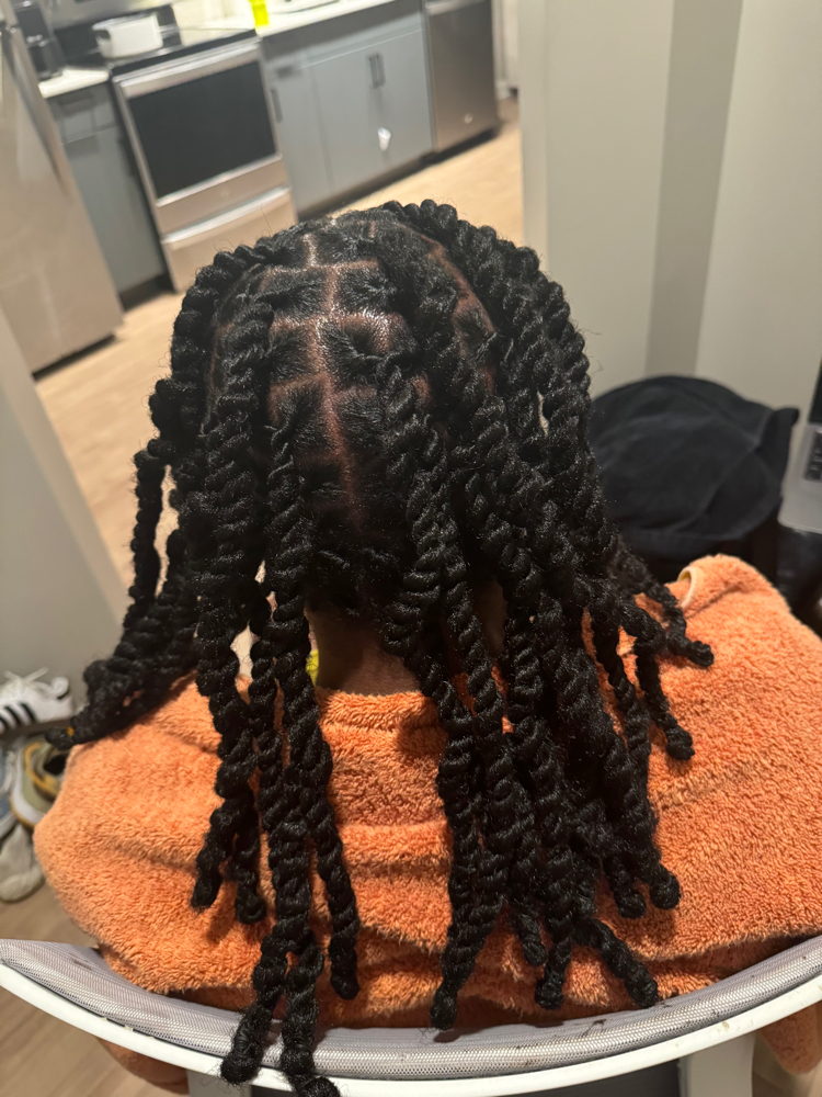 Marley Twists Over Locs