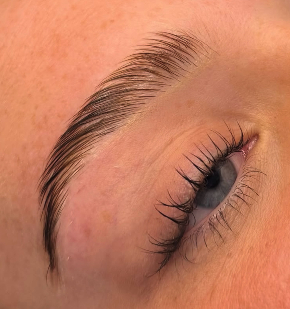 Brow Lami + Stain