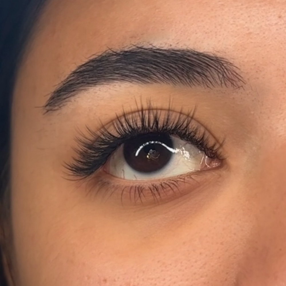 Angel Lashes (Natural) at The Paradise Lash Salon in Wethersfield, CT