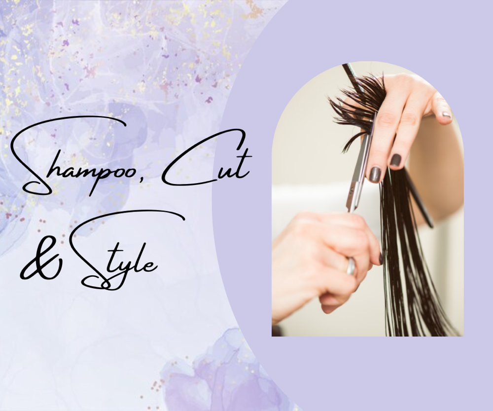 Shampoo, Cut & Style at Hair by Sarah At Salon Stiles in Coventry Township, OH