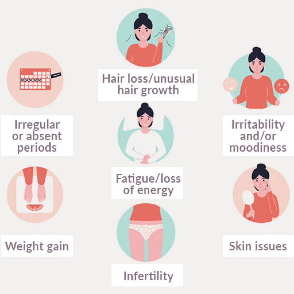 Fertility & Hormone Insight Test at Well Kept in Bradenton, FL