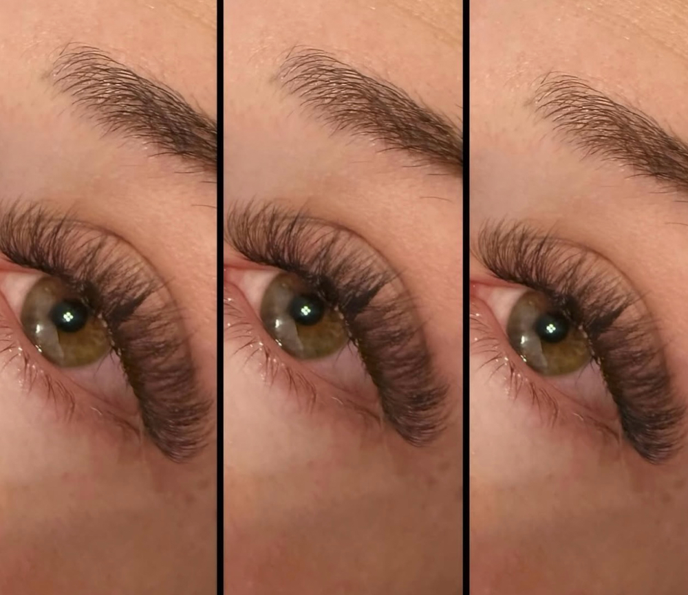 The Lux: Volume Lash Set