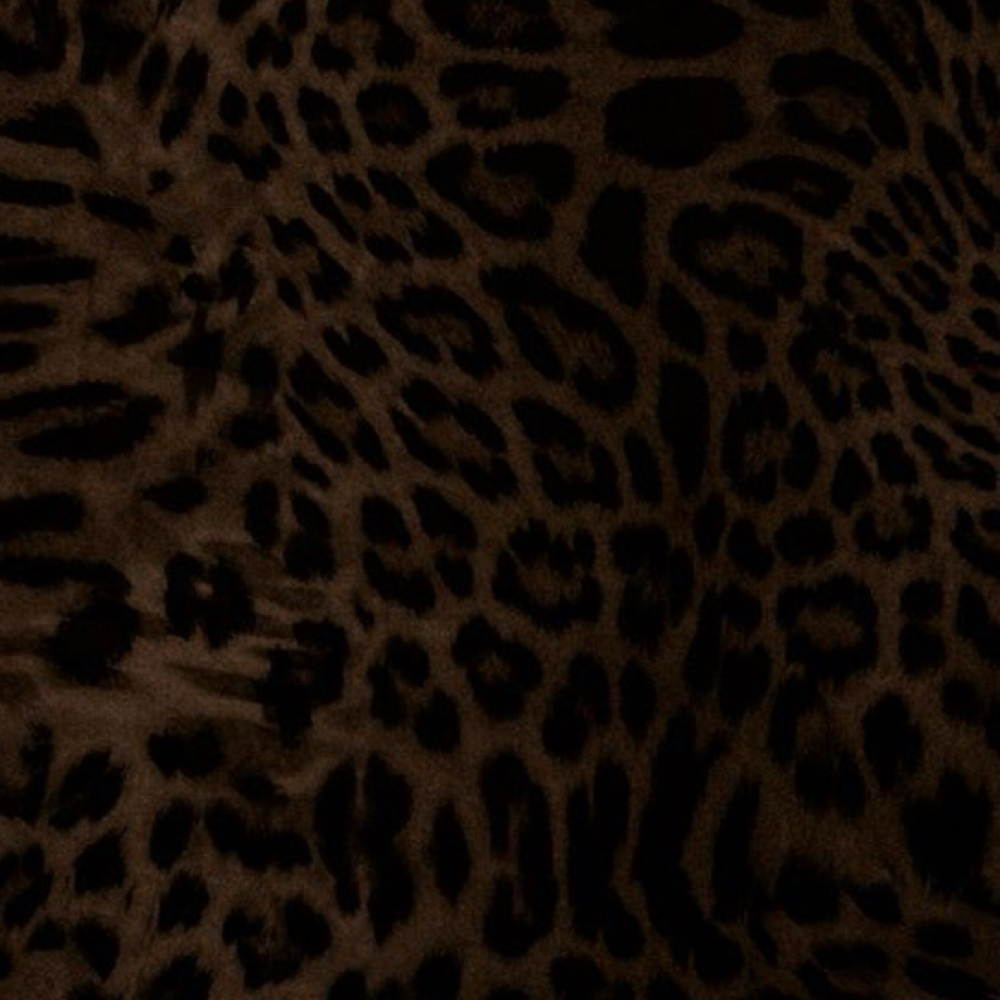 Kids Haircut at Rooted on Grace in Panama City, FL