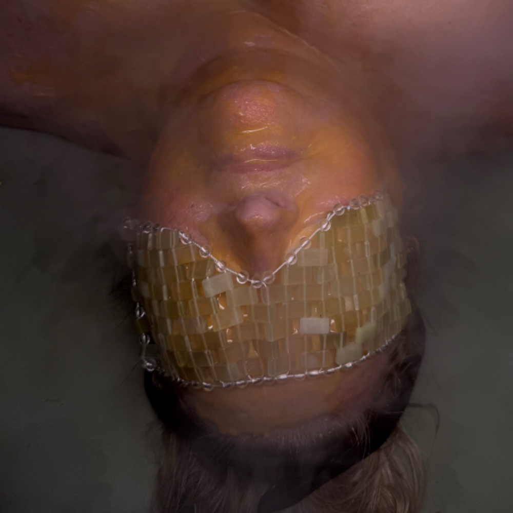 Signature Facial at LUSCIOUS LASHES BEAUTY STUDIO in Garland, TX