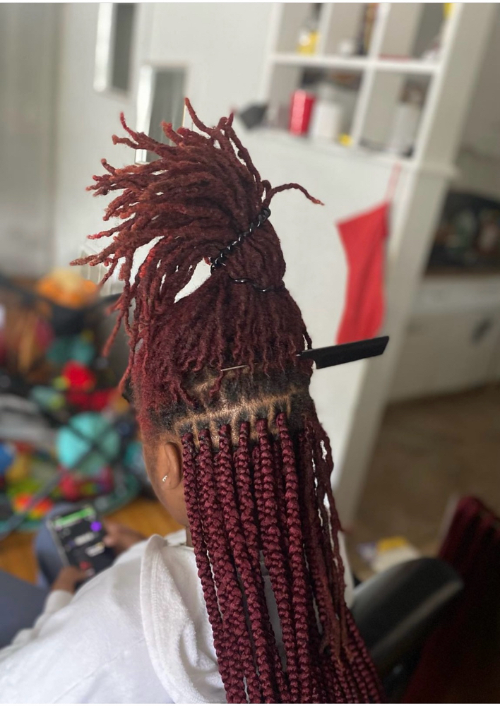 Braids Over Locs