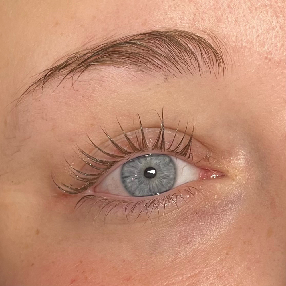 Lash Lift (no tint)