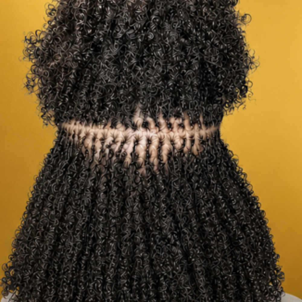 SPECIAL MICROLOCS TWIST at LISA DID IT BRAIDS & LOCS in Martinez, GA