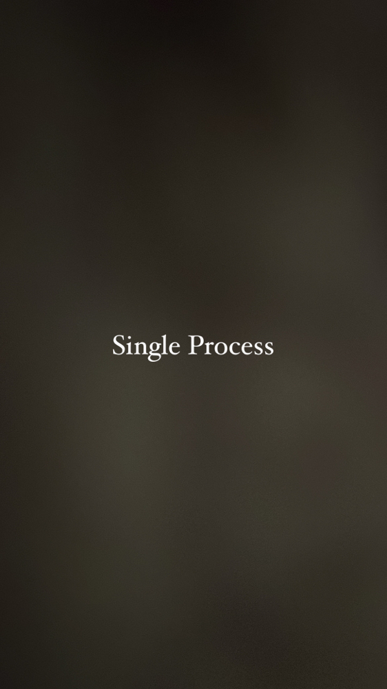 Single Process
