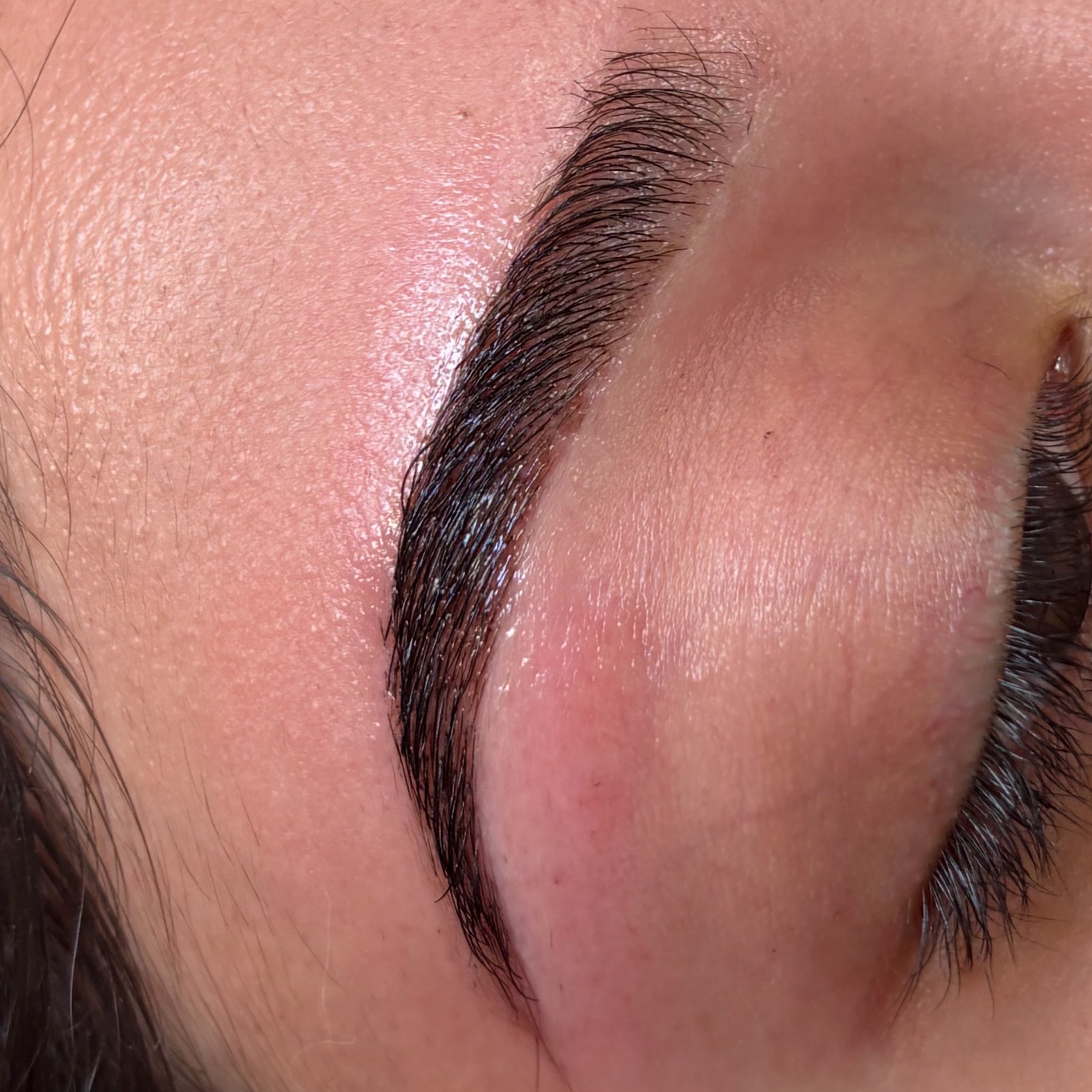 Brow Tinting at Holy Babe Brows in Mission Viejo, CA