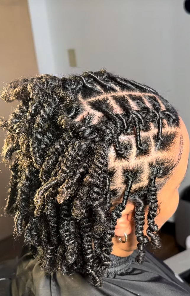 Starter Locs at Xtraglazed Therapies and Locs in Richmond, VA