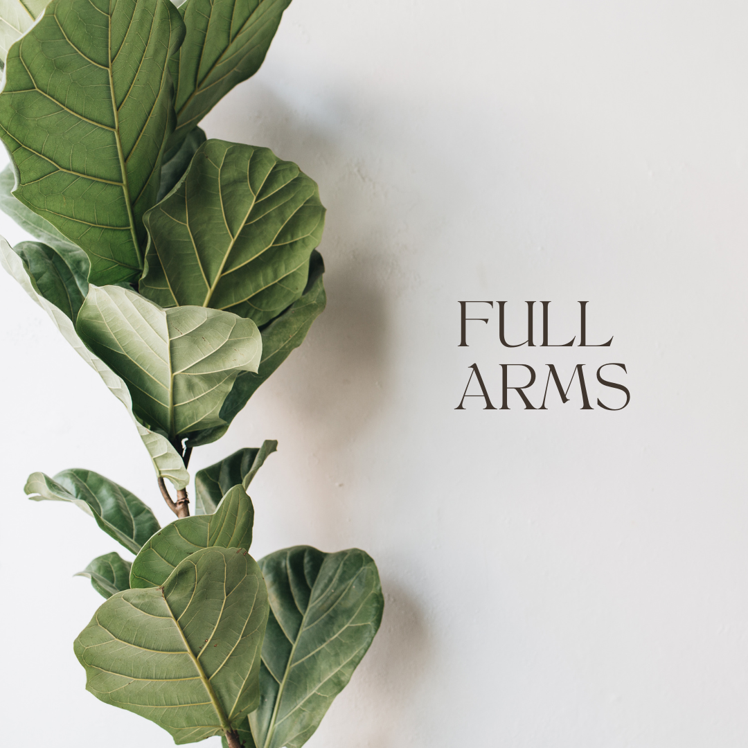 Full Arms