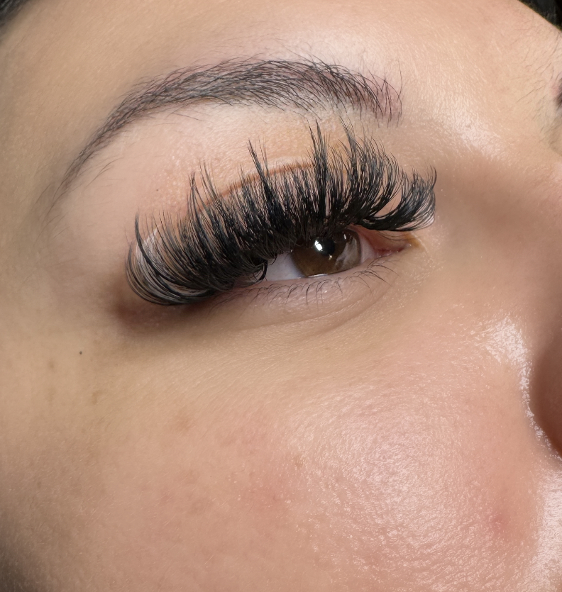 Color Lashes