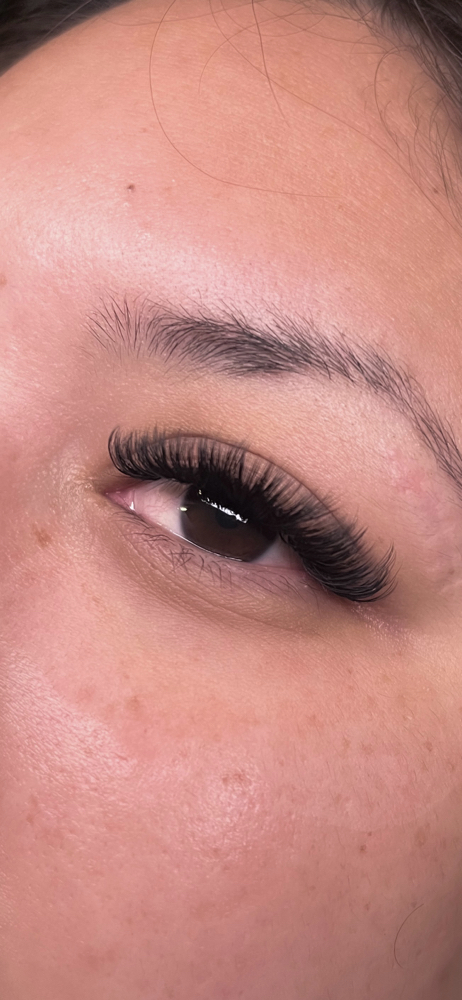 Lash Fill