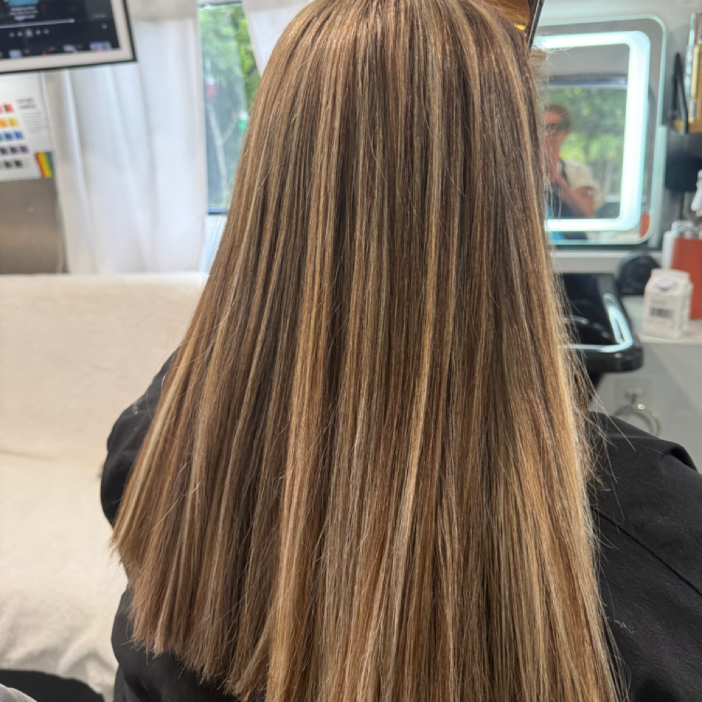 Full Hilite at Little Wild Beauty in Fort Lauderdale, FL