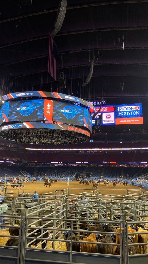 Houston Stock Show & Rodeo Package at punchyspraytansco