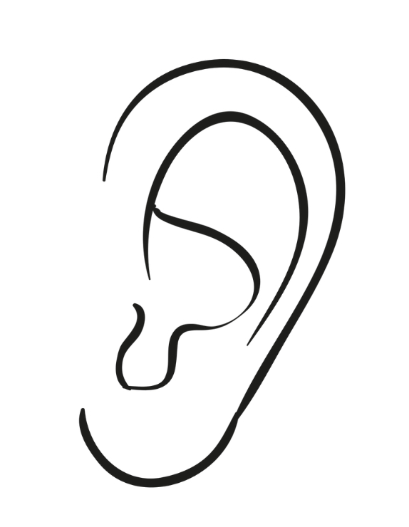 Ears