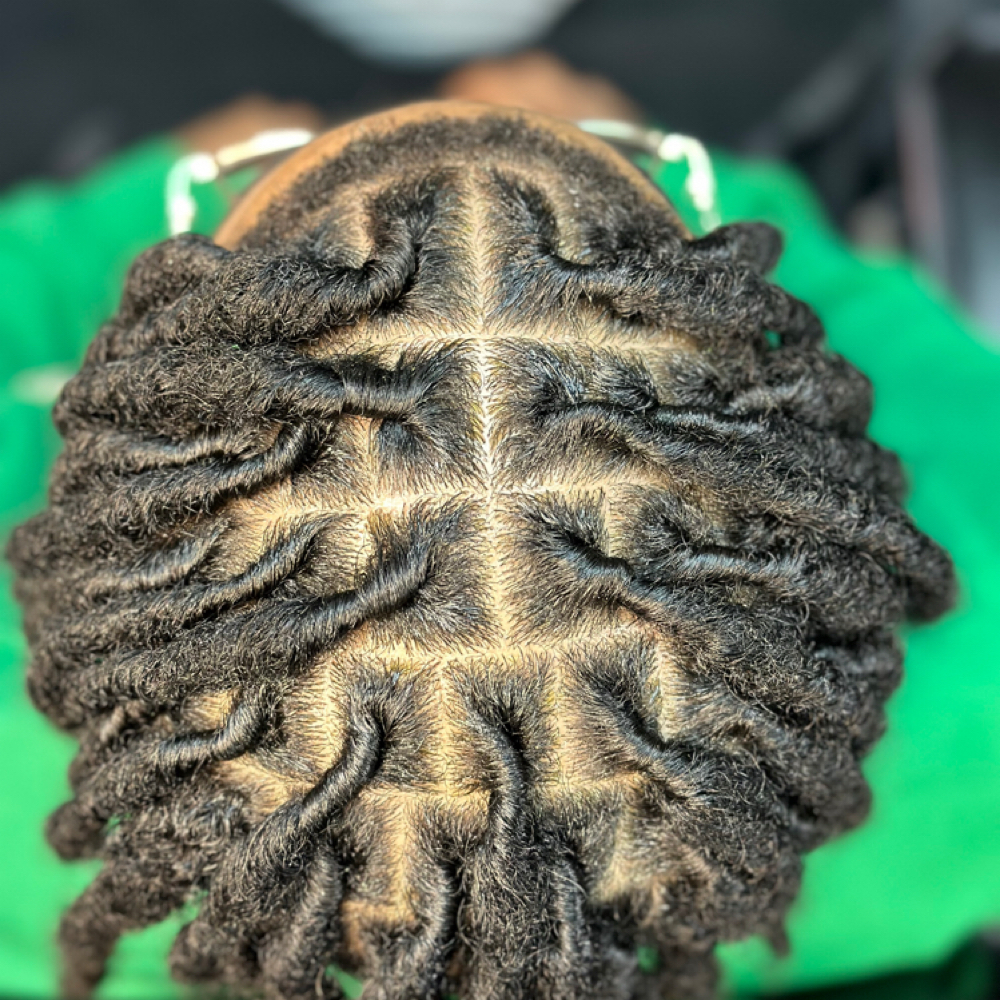 Loc Top Maintenance (11yo & Older) at Crowned by Steph in Stroudsburg, PA