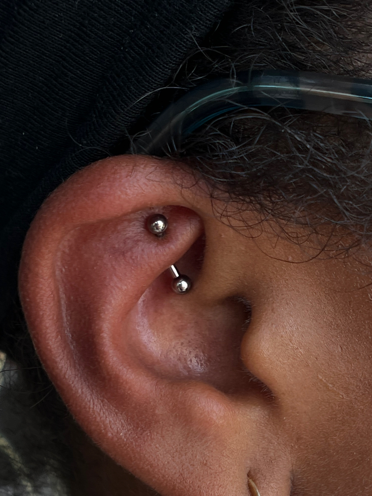 Rook